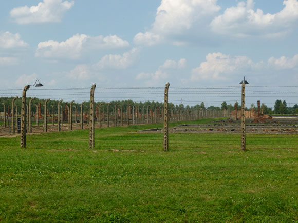 Offendicula: reti elettrificate ad Auschwitz©