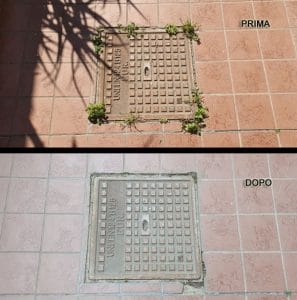 Erbacce infestanti lungo il tombino©