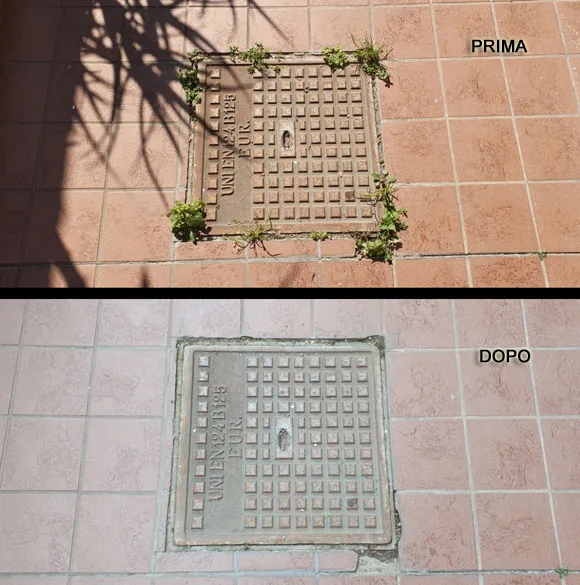 Erbacce infestanti lungo il tombino©