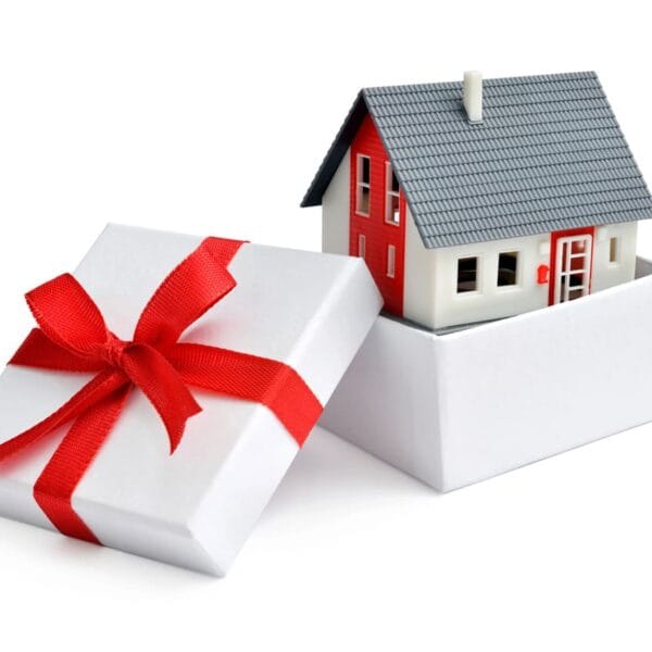 pacco regalo con casa all'interno