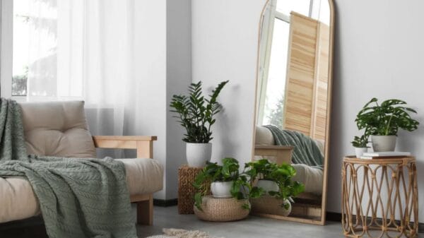 interno di casa con piante e specchio