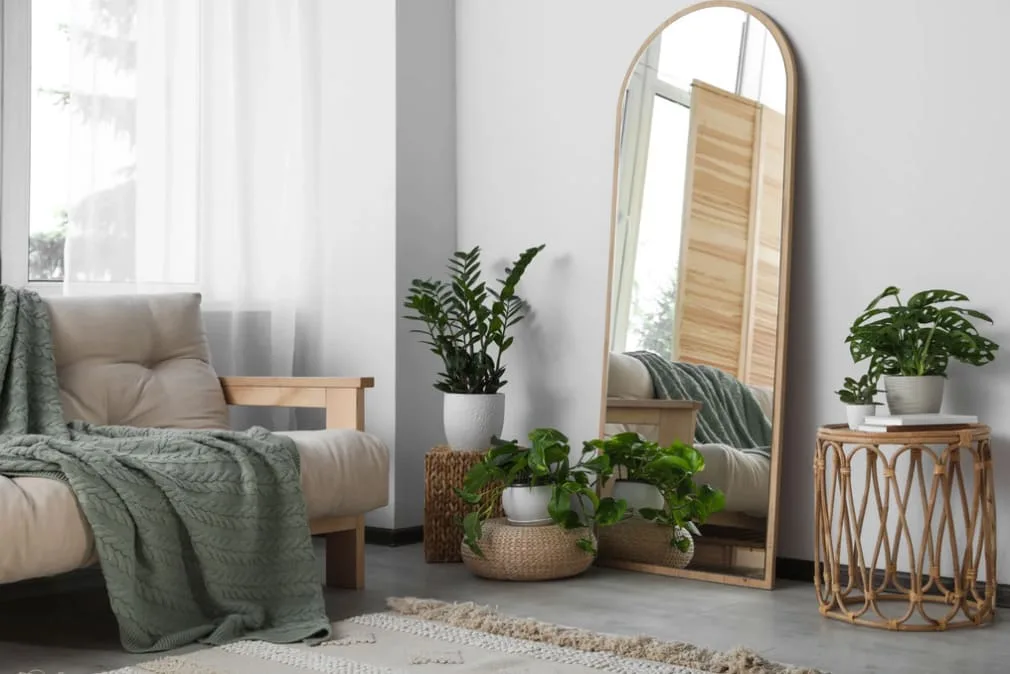 interno di casa con piante e specchio