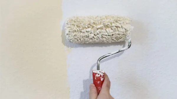 mano che regge un rullo con pittura