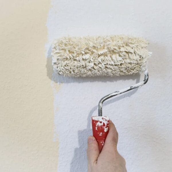 mano che regge un rullo con pittura