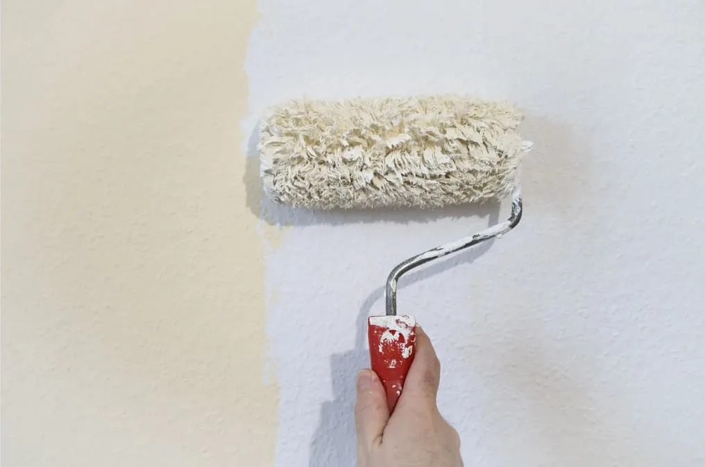 mano che regge un rullo con pittura