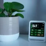 vaso con pianta e dispositivo digitale