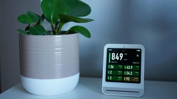 vaso con pianta e dispositivo digitale