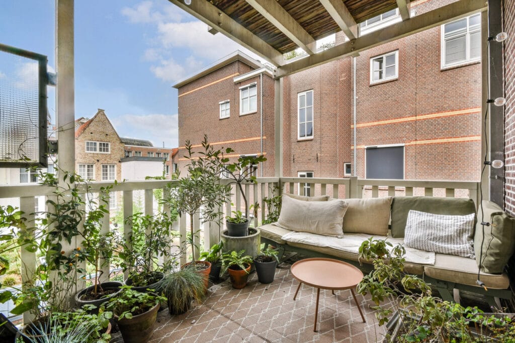 piante antizanzare in balcone