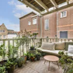 piante antizanzare in balcone