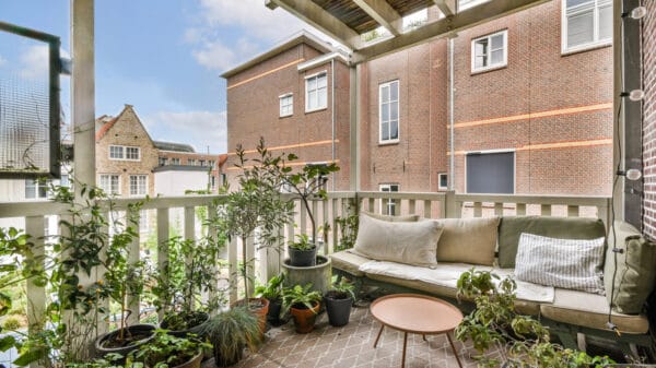 piante antizanzare in balcone