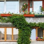 facciata con piante rampicanti