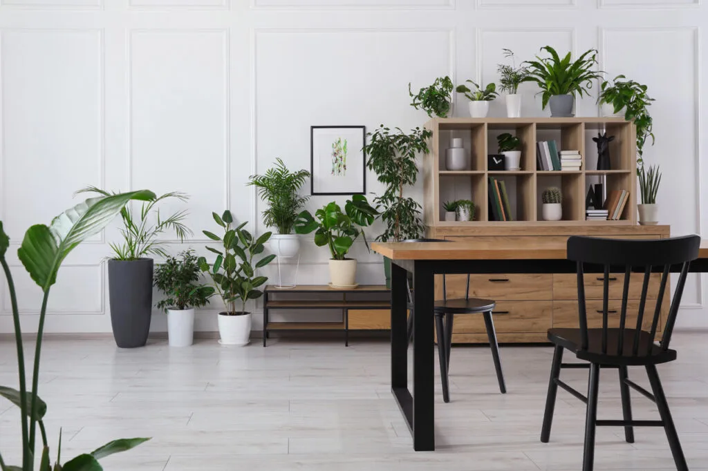 Interno di accogliente sala da pranzo con piante d'appartamento