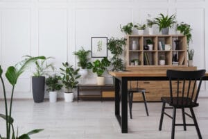 Interno di accogliente sala da pranzo con piante d'appartamento