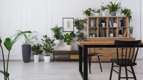 Interno di accogliente sala da pranzo con piante d'appartamento