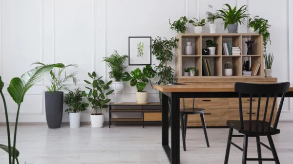 Interno di accogliente sala da pranzo con piante d'appartamento