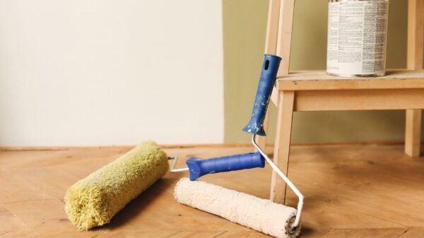 rulli per pittura