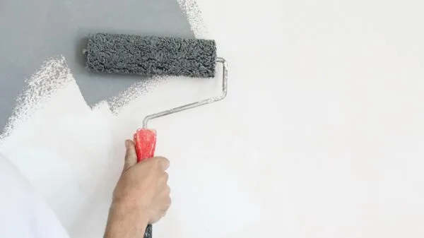 Rullo di vernice. Pittura con vernice grigia su una parete bianca
